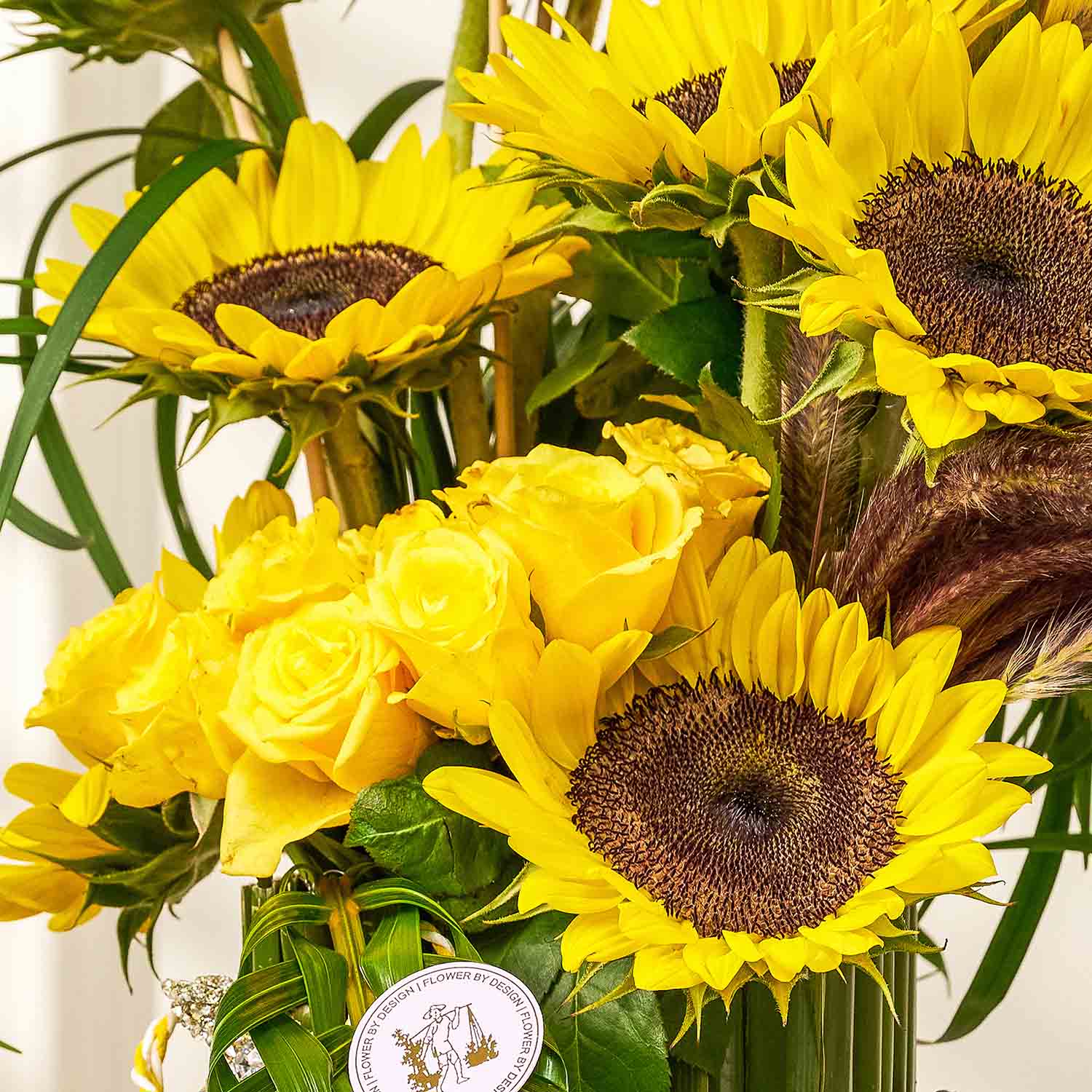 sunflower-rush