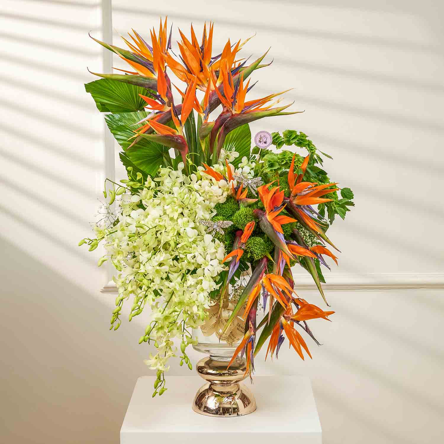 birds-of-paradise-in-vase