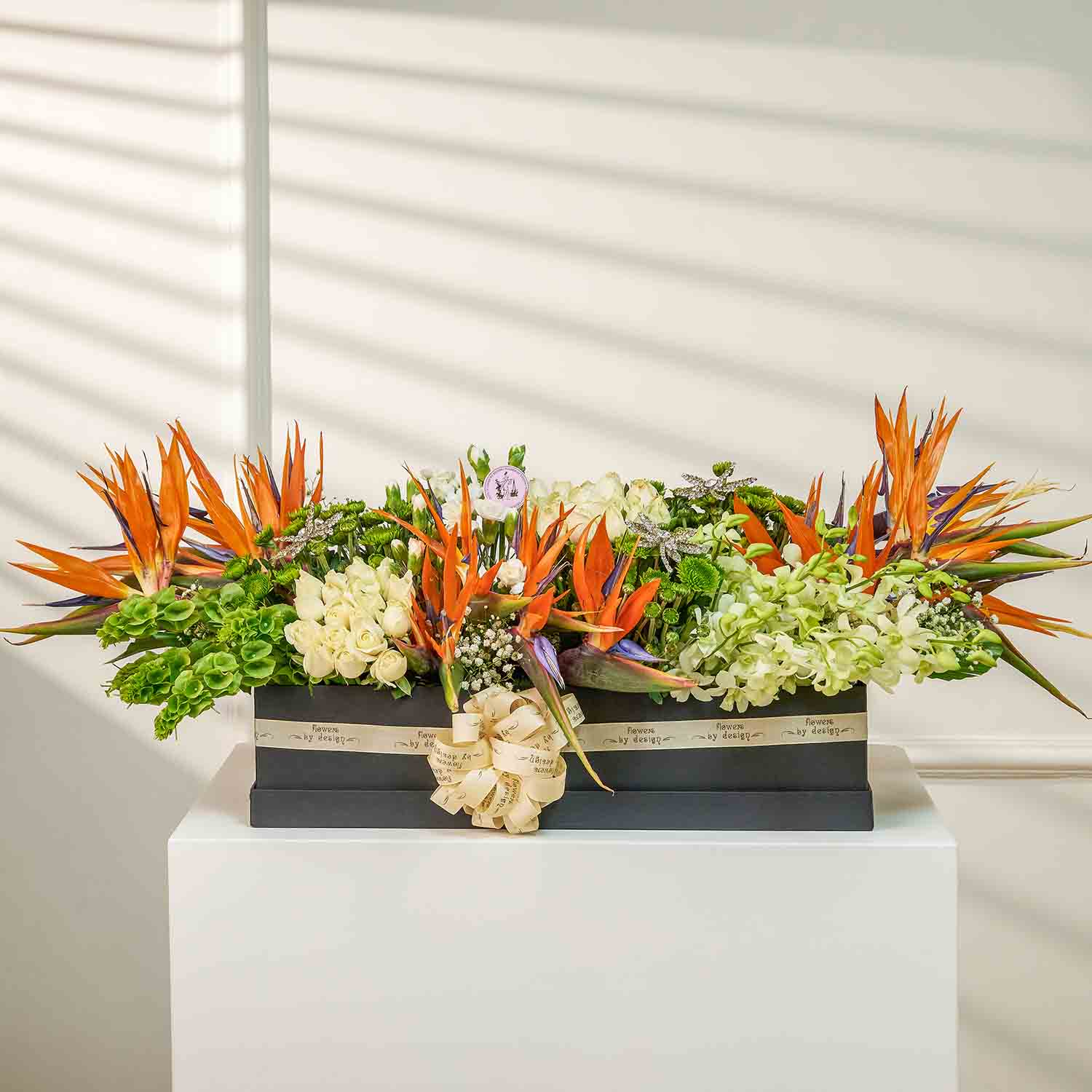 birds-of-paradise-blooms