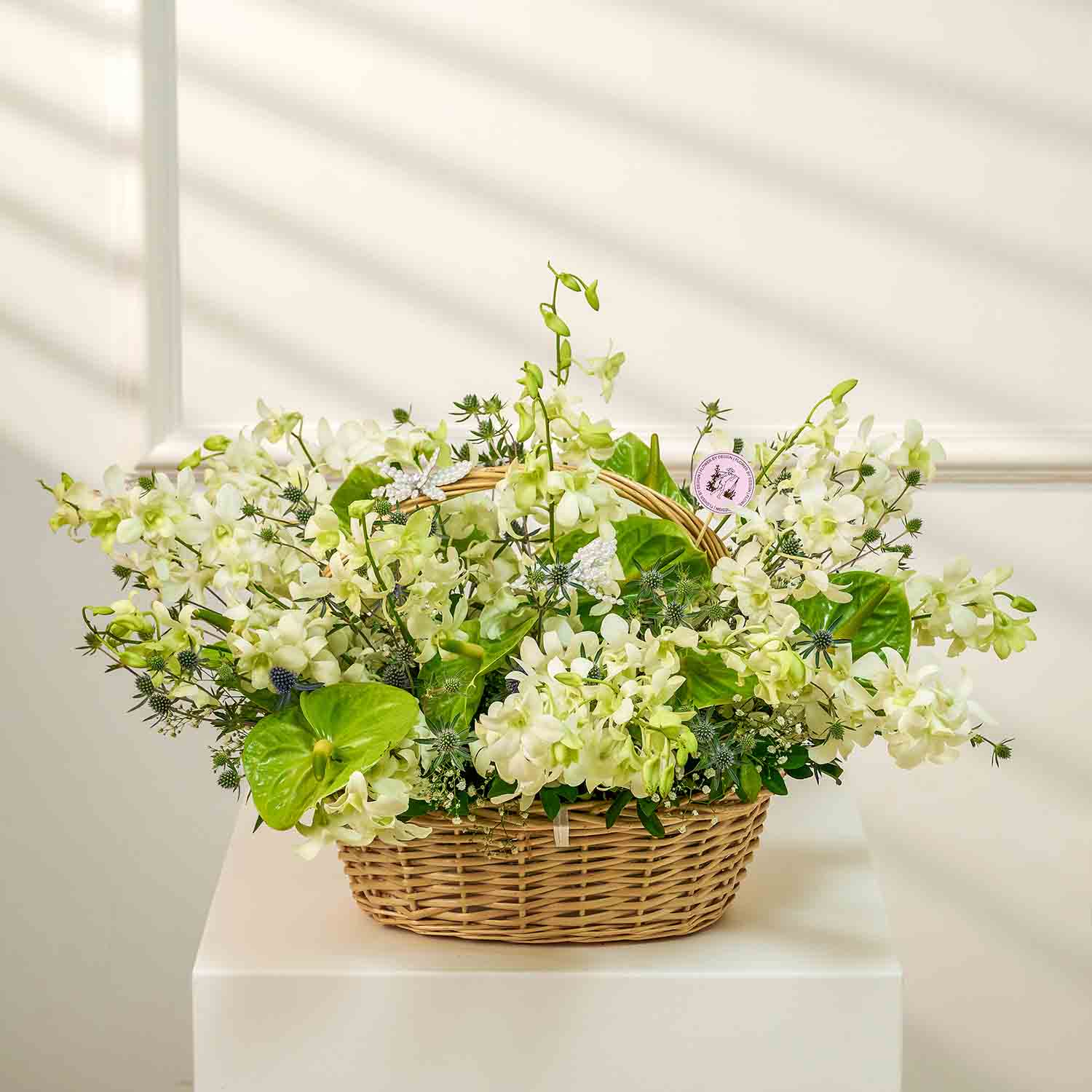 whites-in-basket